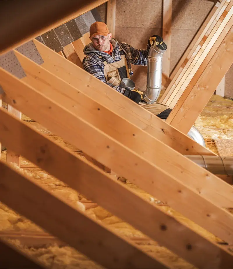 attic-inspection